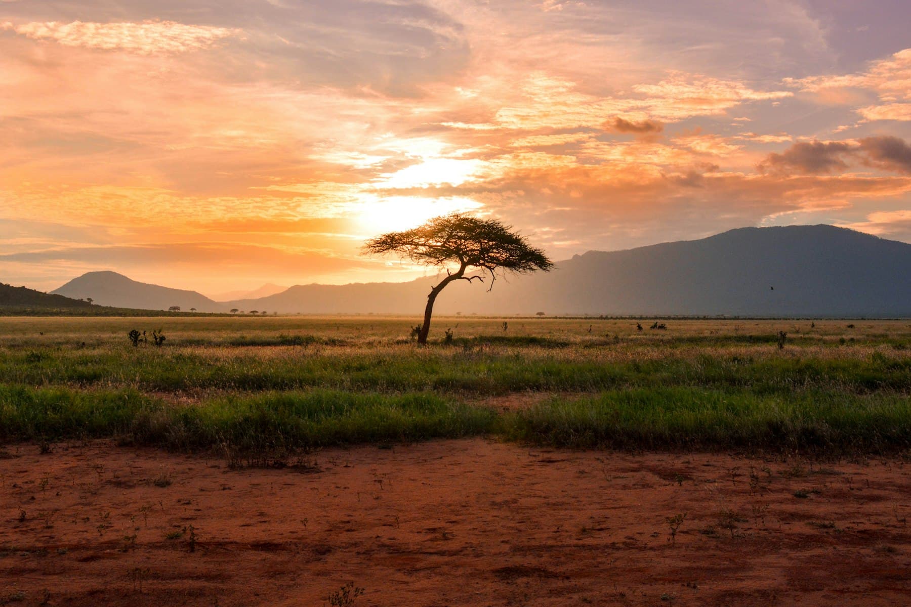 Ngorongoro Crater Explorer