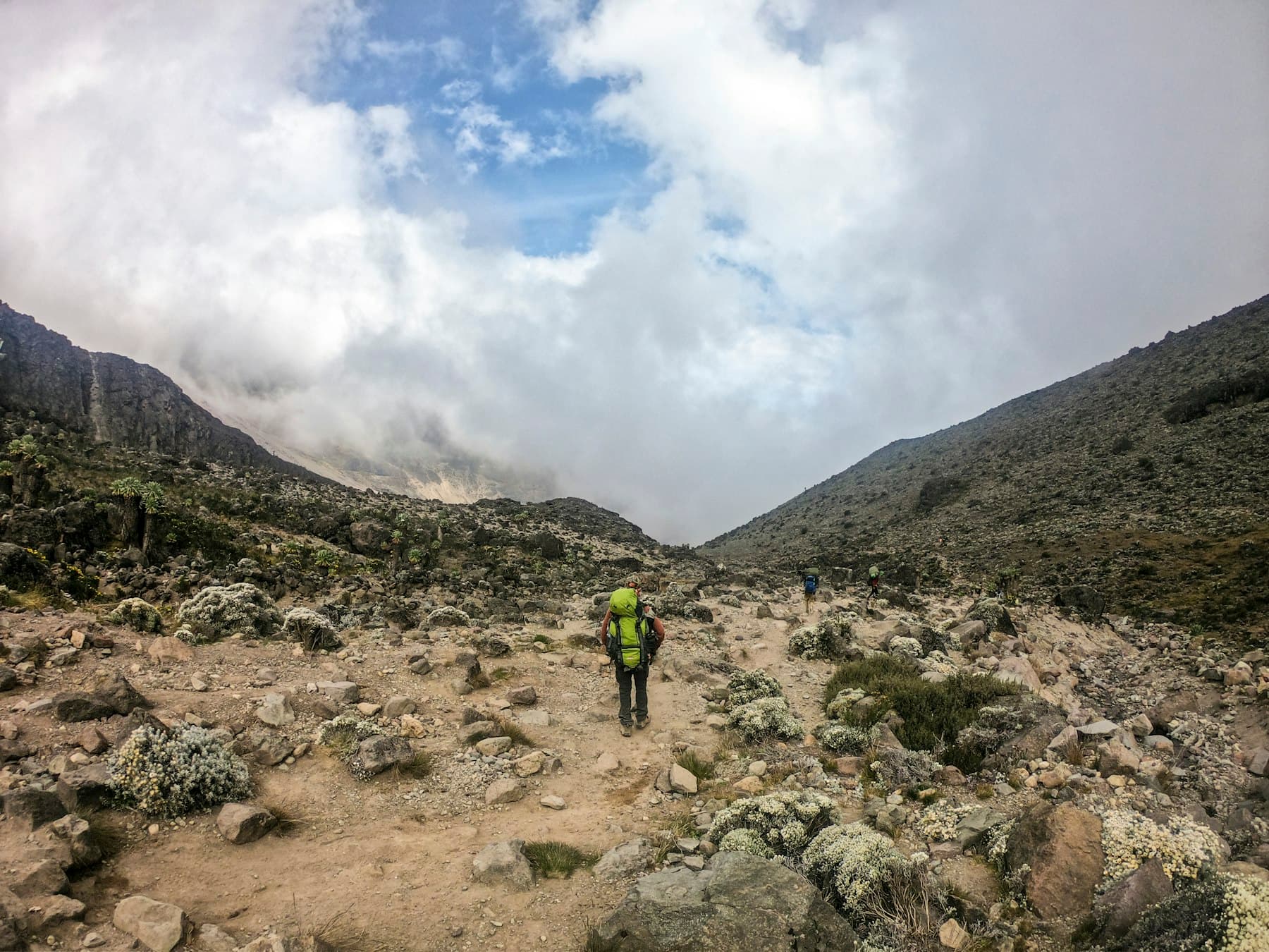 Kilimanjaro