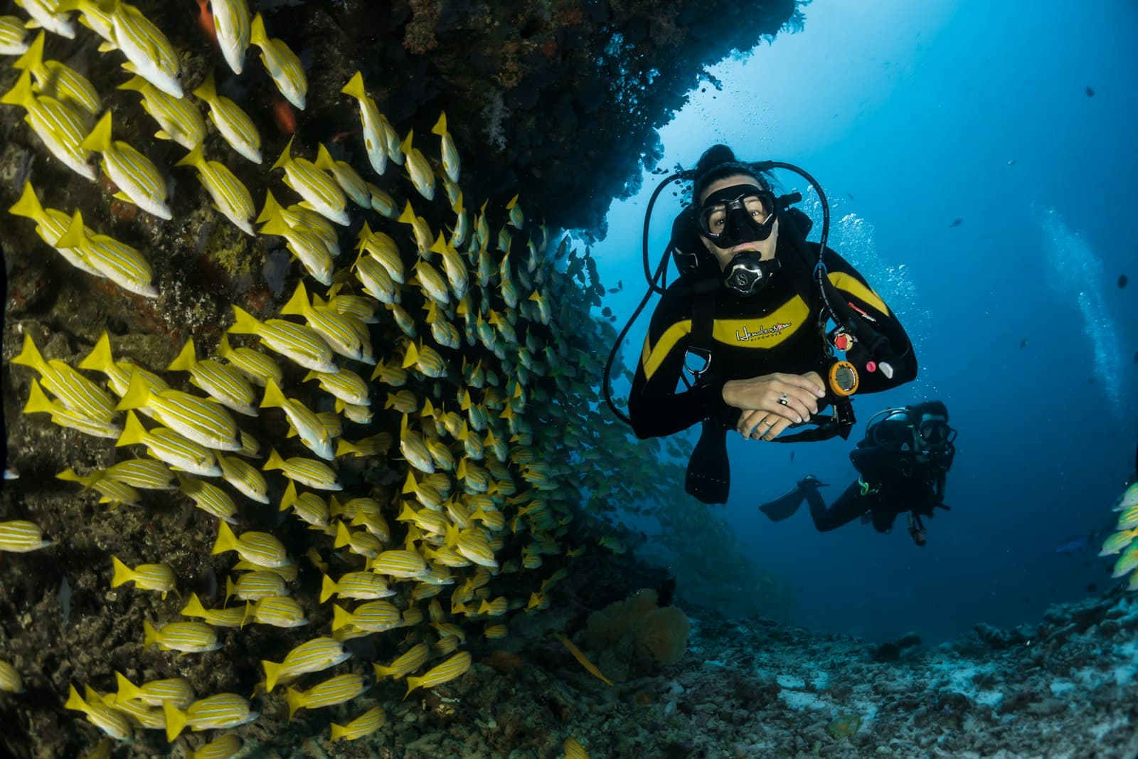 Dive the reefs