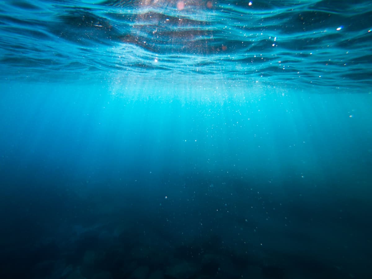 Reef snorkelling